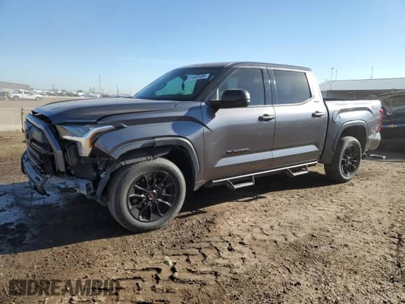 2023 Toyota Tundra SR5 with VIN 5TFLA5DB8PX122982, listed as a Copart auction lot 81602485 with 44,437 mi miles and Salvage title. Bid and sale history available at DreamBid. Image 1.
