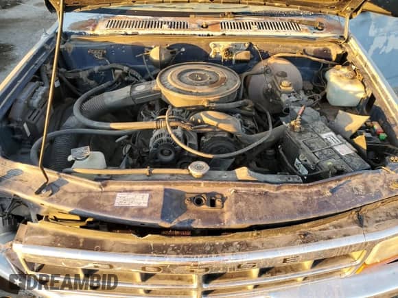 1993 Dodge Dakota S с VIN 1B7FL26X7PS268513, выставлен на аукционе Copart как лот 87258164 с пробегом 166 580 миль миль и Списание • Salvage title. История ставок и продаж доступна на DreamBid. Изображение 12.