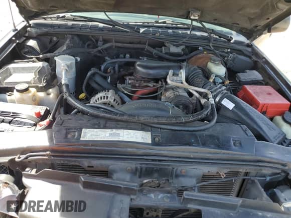 2000 Chevrolet Blazer LS with VIN 1GNCS13W62K142736, listed as a Copart auction lot 73249844 with 141,788 mi miles and Salvage title. Bid and sale history available at DreamBid. Image 13.