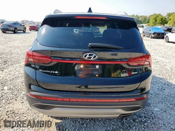 2023 Hyundai Santa Fe SEL с VIN 5NMS2DAJ7PH583839, выставлен на аукционе Copart как лот 80463705 с пробегом 58 251 миль миль и Чистый • Clean title. История ставок и продаж доступна на DreamBid. Изображение 6.