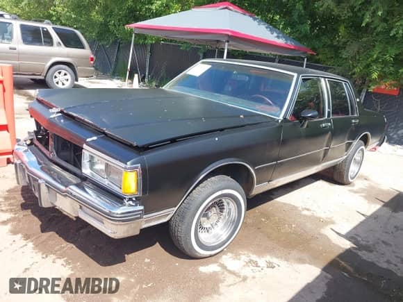1983 Chevrolet Caprice с VIN 1G1AN69HXDX124459, выставлен на аукционе IAAI как лот 42694260 с пробегом 50 314 миль миль и . История ставок и продаж доступна на DreamBid. Изображение 19.