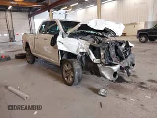 2014 Ram 1500 Big Horn z VIN 1C6RR7GT3ES367435, wystawiony jako IAAI lot #42310390 z przebiegiem 116 181 mil mil oraz . Historia ofert i sprzedaży dostępna na DreamBid. Obrazek 1.