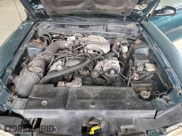 1996 Ford Mustang with VIN 1FALP4047TF229334, listed as a Copart auction lot 49257335 with 184,986 mi miles and Salvage title. Bid and sale history available at DreamBid. Image 11.