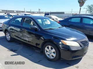 2009 Toyota Camry LE with VIN 4T4BE46K19R068678, listed as a IAAI auction lot 43206389 with Not provided miles and . Bid and sale history available at DreamBid. Image 1.
