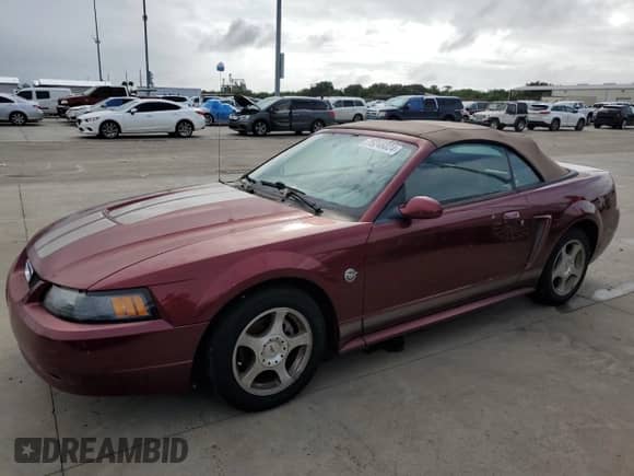 2004 Ford Mustang Deluxe z VIN 1FAFP44484F115156, wystawiony jako Copart lot #75246024 z przebiegiem Nie podano mil oraz Nie do naprawy • Non repairable. Historia ofert i sprzedaży dostępna na DreamBid. Obrazek 1.