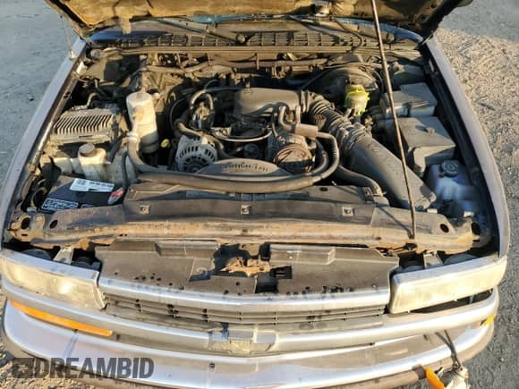 1999 Chevrolet Blazer LS z VIN 1GNCS13W9X2194269, wystawiony jako Copart lot #75468004 z przebiegiem 154 501 mil mil oraz Szkoda całkowita • Salvage title. Historia ofert i sprzedaży dostępna na DreamBid. Obrazek 12.