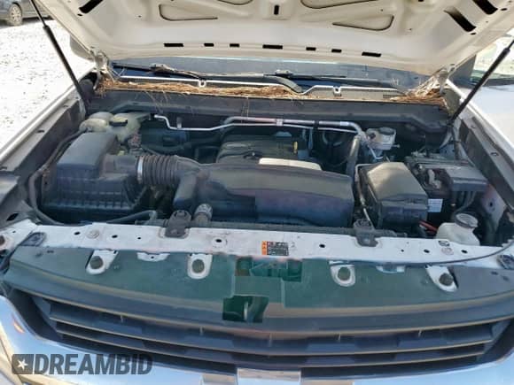 2018 Chevrolet Colorado 2WD Work Truck with VIN 1GCHSBEA7J1140892, listed as a Copart auction lot 65935235 with 131,153 mi miles and Salvage title. Bid and sale history available at DreamBid. Image 11.