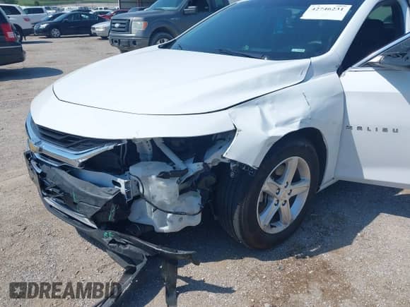 2023 Chevrolet Malibu LS with VIN 1G1ZB5ST6PF176525, listed as a IAAI auction lot 42746231 with 46,944 mi miles and . Bid and sale history available at DreamBid. Image 6.