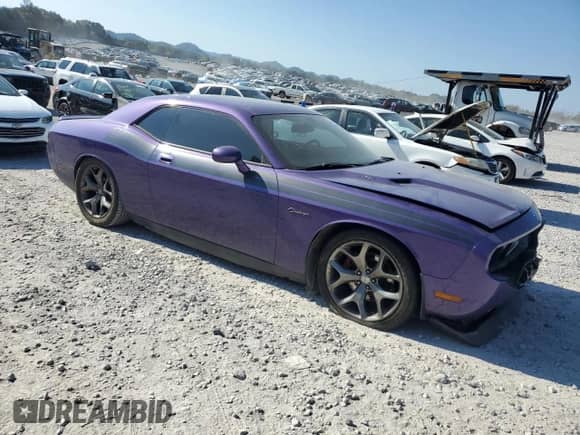 2010 Dodge Challenger R/T with VIN 2B3CJ5DT1AH175030, listed as a Copart auction lot 84941425 with 124,267 mi miles and Salvage title. Bid and sale history available at DreamBid. Image 4.