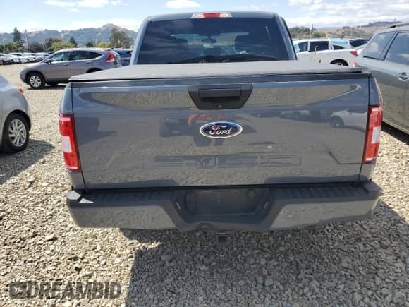 2019 Ford F-150 XL with VIN 1FTEW1CP1KKC35310, listed as a Copart auction lot 80469875 with 82,484 mi miles and Salvage title. Bid and sale history available at DreamBid. Image 6.