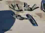 2010 Honda Accord EX-L с VIN 1HGCP2F86AA132548, выставлен на аукционе Copart как лот 85357985 с пробегом 143 930 миль миль и Списание • Salvage title. История ставок и продаж доступна на DreamBid. Изображение 12.