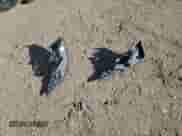 2018 Hyundai Elantra SE z VIN 5NPD74LF1JH334465, wystawiony jako Copart lot #83834325 z przebiegiem 184 476 mil mil oraz Szkoda całkowita • Salvage title. Historia ofert i sprzedaży dostępna na DreamBid. Obrazek 12.