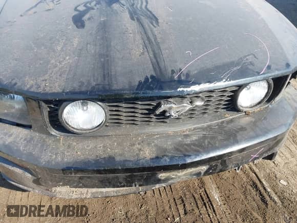 2005 Ford Mustang GT Deluxe с VIN 1ZVFT82H955147685, выставлен на аукционе IAAI как лот 43374177 с пробегом 51 862 миль миль и . История ставок и продаж доступна на DreamBid. Изображение 13.
