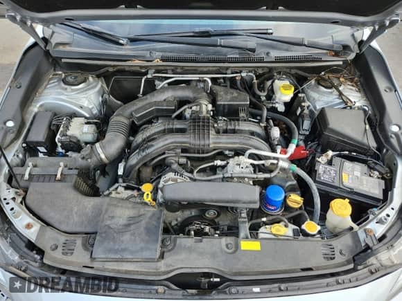 2017 Subaru Impreza Limited with VIN 4S3GKAU66H3623467, listed as a Copart auction lot 62834835 with 48,484 mi miles and Salvage title. Bid and sale history available at DreamBid. Image 11.