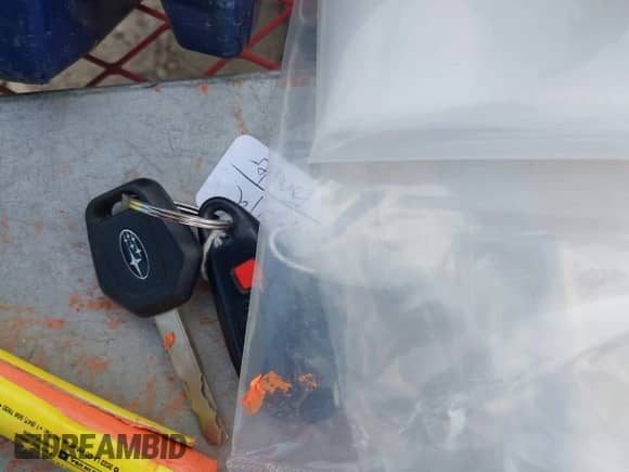 2011 Subaru Forester X with VIN JF2SHABC5BG780491, listed as a IAAI auction lot 43465417 with 147,591 mi miles and . Bid and sale history available at DreamBid. Image 11.