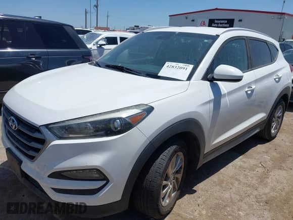 2018 Hyundai Tucson SEL с VIN KM8J33A45JU676528, выставлен на аукционе IAAI как лот 42832091 с пробегом 154 194 миль миль и . История ставок и продаж доступна на DreamBid. Изображение 2.