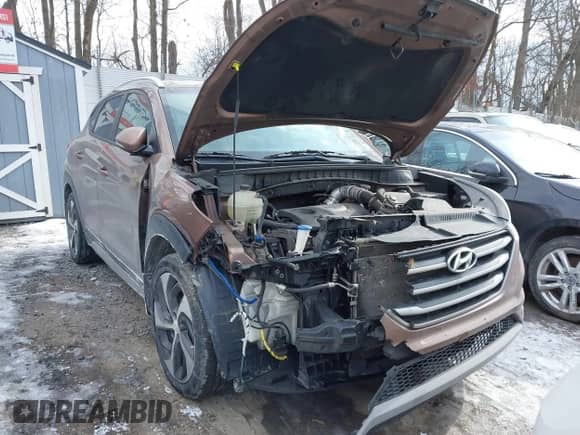 2017 Hyundai Tucson Eco с VIN KM8J3CA24HU406070, выставлен на аукционе IAAI как лот 41434372 с пробегом 81 610 миль миль и . История ставок и продаж доступна на DreamBid. Изображение 6.