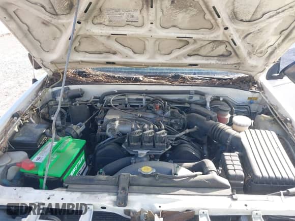1995 Honda Passport с VIN 4S6CM58V2S4434336, выставлен на аукционе IAAI как лот 42522631 с пробегом 164 422 миль миль и . История ставок и продаж доступна на DreamBid. Изображение 10.