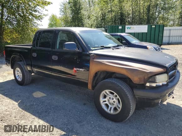 2001 Dodge Dakota Sport with VIN 1B7GG2AN81S113605, listed as a Copart auction lot 58990065 with 243,919 mi miles and Clean title. Bid and sale history available at DreamBid. Image 4.