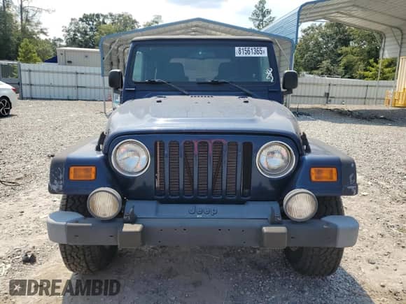 2005 Jeep Wrangler with VIN 1J4FA64S95P346630, listed as a Copart auction lot 81561365 with 171,774 mi miles and Salvage title. Bid and sale history available at DreamBid. Image 5.