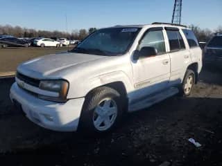 2002 Chevrolet TrailBlazer LS with VIN 1GNDT13S922137772, listed as a Copart auction lot 86365434 with 169,234 mi miles and Clean title. Bid and sale history available at DreamBid. Image 1.