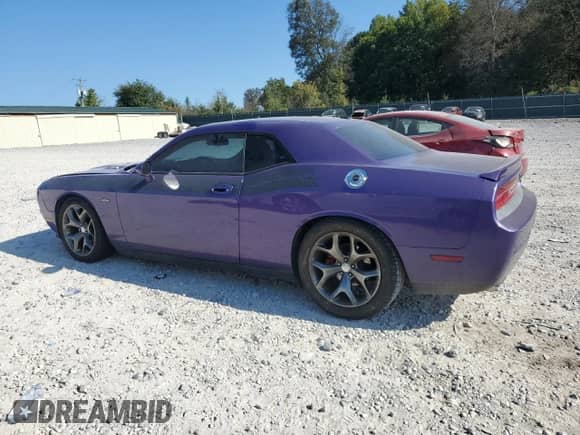2010 Dodge Challenger R/T with VIN 2B3CJ5DT1AH175030, listed as a Copart auction lot 84941425 with 124,267 mi miles and Salvage title. Bid and sale history available at DreamBid. Image 2.