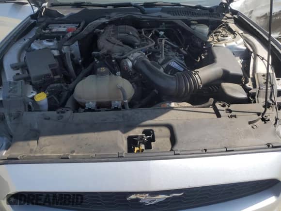 2017 Ford Mustang V6 с VIN 1FATP8EM1H5295973, выставлен на аукционе Copart как лот 59615815 с пробегом 83 940 миль миль и Списание • Salvage title. История ставок и продаж доступна на DreamBid. Изображение 11.