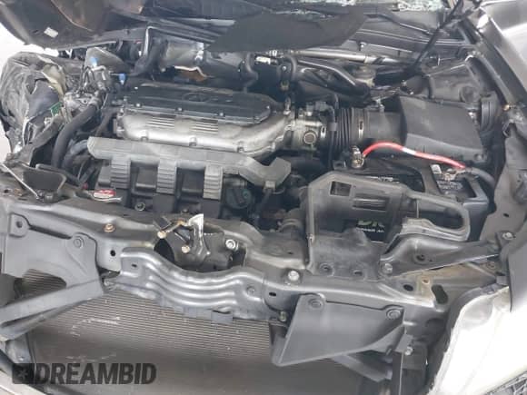 2011 Acura TL с VIN 19UUA8F24BA000877, выставлен на аукционе IAAI как лот 43338786 с пробегом 105 398 миль миль и . История ставок и продаж доступна на DreamBid. Изображение 10.