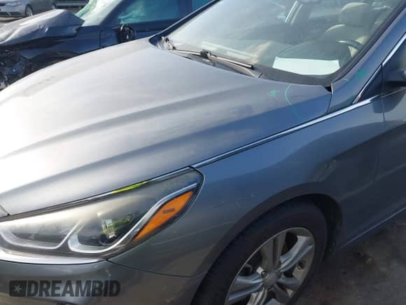 2018 Hyundai Sonata SEL with VIN 5NPE34AFXJH629342, listed as a IAAI auction lot 42201503 with 122,664 mi miles and . Bid and sale history available at DreamBid. Image 17.