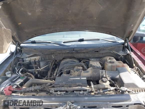 2010 Ford F-150 XL with VIN 1FTEX1C85AFB32873, listed as a IAAI auction lot 42482617 with 213,621 mi miles and . Bid and sale history available at DreamBid. Image 10.