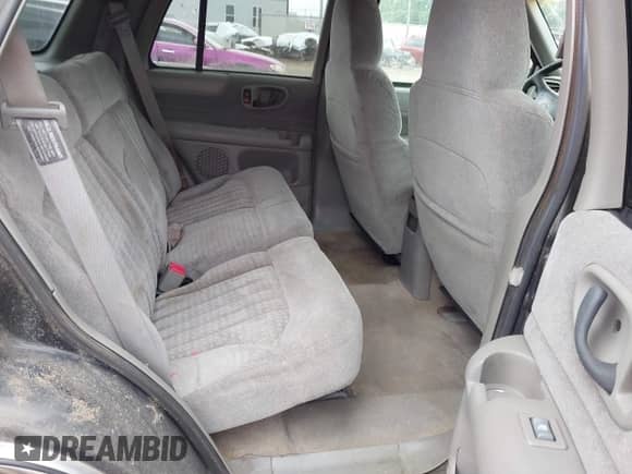 1998 Chevrolet Blazer LS z VIN 1GNDT13W9W2289009, wystawiony jako IAAI lot #42533871 z przebiegiem 165 585 mil mil oraz . Historia ofert i sprzedaży dostępna na DreamBid. Obrazek 8.