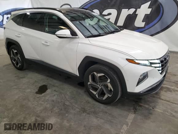 2024 Hyundai Tucson Limited с VIN 5NMJECDE6RH307294, выставлен на аукционе Copart как лот 81204675 с пробегом 32 680 миль миль и На запчасти • Non repairable. История ставок и продаж доступна на DreamBid. Изображение 4.