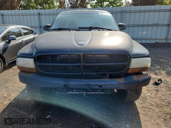 2001 Dodge Dakota with VIN 1B7GG22X91S113726, listed as a Copart auction lot 65792155 with 249,280 mi miles and Salvage title. Bid and sale history available at DreamBid. Image 5.