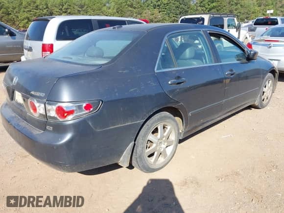 2005 Honda Accord EX-L with VIN 1HGCM66595A068842, listed as a IAAI auction lot 43345821 with 217,567 mi miles and . Bid and sale history available at DreamBid. Image 4.