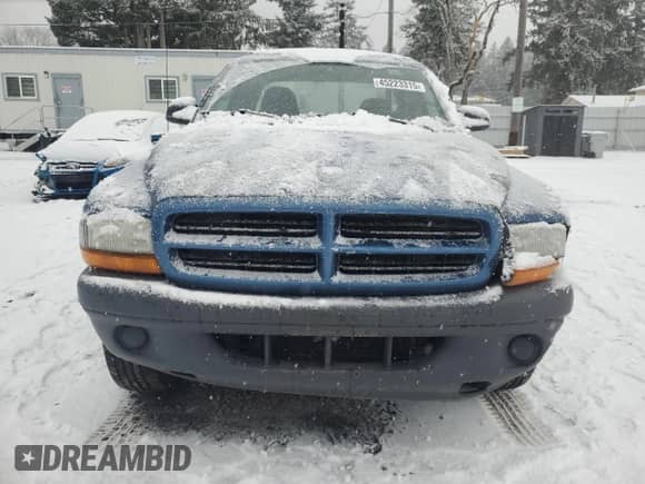 2003 Dodge Dakota с VIN 1D7HG12X23S345155, выставлен на аукционе Copart как лот 45223315 с пробегом 132 984 миль миль и Списание • Salvage title. История ставок и продаж доступна на DreamBid. Изображение 5.