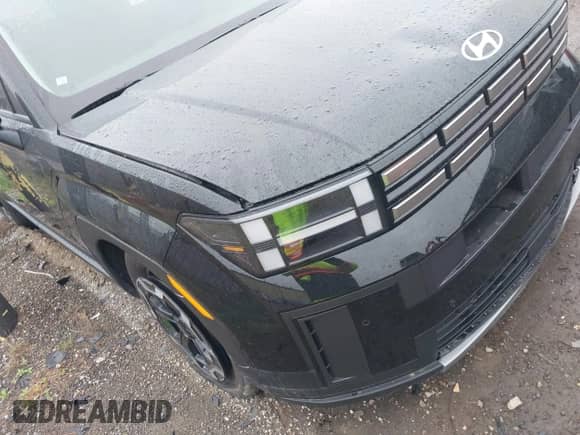 2024 Hyundai Santa Fe SEL с VIN 5NMP2DGL3RH010289, выставлен на аукционе IAAI как лот 42251694 с пробегом 25 039 миль миль и . История ставок и продаж доступна на DreamBid. Изображение 20.