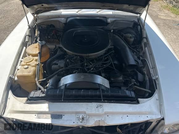 1982 Mercedes-Benz 380 SL with VIN WDBBA45A9CB018650, listed as a Copart auction lot 69810785 with 115,291 mi miles and Clean title. Bid and sale history available at DreamBid. Image 7.