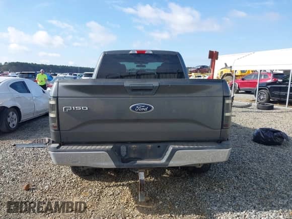 2017 Ford F-150 XL z VIN 1FTEX1E85HFA14667, wystawiony jako IAAI lot #41786053 z przebiegiem 145 788 mil mil oraz . Historia ofert i sprzedaży dostępna na DreamBid. Obrazek 16.