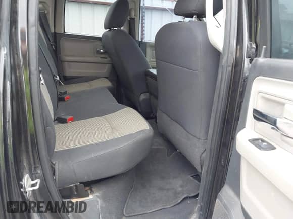 2010 Dodge 1500 SLT with VIN 1D7RB1GP4AS225575, listed as a IAAI auction lot 42206581 with 172,789 mi miles and . Bid and sale history available at DreamBid. Image 8.