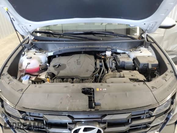 2025 Hyundai Tucson SEL with VIN 5NMJB3DE6SH467190, listed as a Copart auction lot 81484585 with 24,316 mi miles and Salvage title. Bid and sale history available at DreamBid. Image 12.