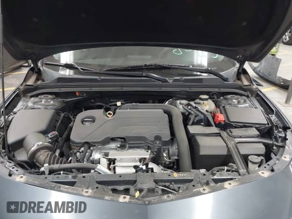 2019 Chevrolet Malibu LT with VIN 1G1ZD5ST3KF125888, listed as a IAAI auction lot 42711123 with 155,793 mi miles and . Bid and sale history available at DreamBid. Image 10.