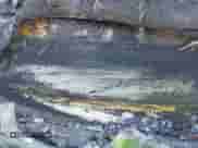 2019 Chrysler 300 S z VIN 2C3CCABG5KH654192, wystawiony jako IAAI lot #40535560 z przebiegiem Nie podano mil oraz . Historia ofert i sprzedaży dostępna na DreamBid. Obrazek 9.