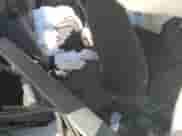 2017 Ram 1500 Tradesman z VIN 1C6RR6FT7HS649738, wystawiony jako Copart lot #68143825 z przebiegiem Nie podano mil oraz Szkoda całkowita • Salvage title. Historia ofert i sprzedaży dostępna na DreamBid. Obrazek 10.