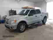 2009 Ford F-150 XL with VIN 1FTRW14869FA32733, listed as a IAAI auction lot 42707066 with 177,248 mi miles and . Bid and sale history available at DreamBid. Image 20.