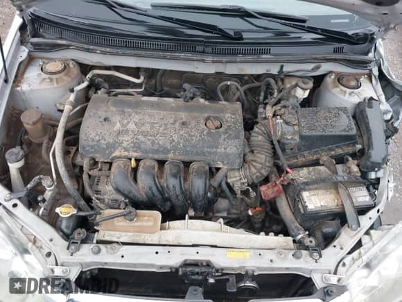 2008 Toyota Corolla CE с VIN 1NXBR32E88Z961325, выставлен на аукционе IAAI как лот 42652245 с пробегом Не указан миль и . История ставок и продаж доступна на DreamBid. Изображение 10.