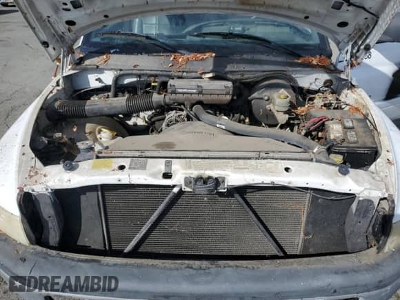 2001 Dodge 1500 Work Special with VIN 1B7HC16X31S228066, listed as a Copart auction lot 82155405 with Not provided miles and Clean title. Bid and sale history available at DreamBid. Image 11.
