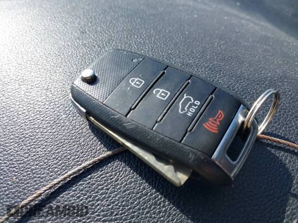 2017 Kia Sorento LX with VIN 5XYPG4A57HG213979, listed as a IAAI auction lot 42985696 with 344,014 mi miles and . Bid and sale history available at DreamBid. Image 11.