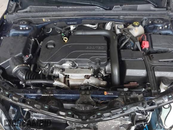 2021 Chevrolet Malibu LT с VIN 1G1ZD5ST6MF003562, выставлен на аукционе IAAI как лот 42173968 с пробегом 97 001 миль миль и . История ставок и продаж доступна на DreamBid. Изображение 10.