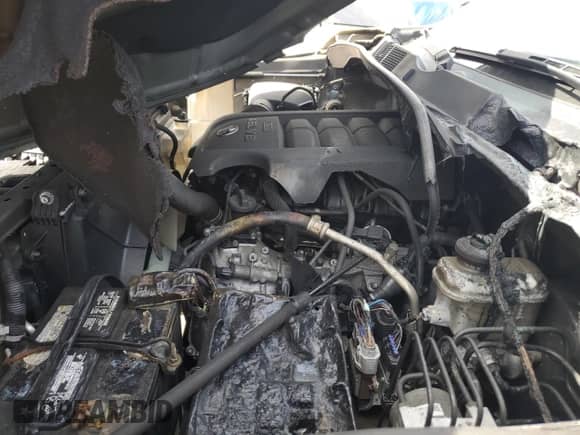 2019 Toyota Tundra SR5 с VIN 5TFEM5F11KX142018, выставлен на аукционе Copart как лот 67743725 с пробегом Не указан миль и На запчасти • Non repairable. История ставок и продаж доступна на DreamBid. Изображение 11.