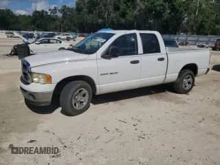 2004 Dodge 1500 SLT with VIN 1D7HA18N54S736485, listed as a Copart auction lot 69194655 with 264,542 mi miles and Salvage title. Bid and sale history available at DreamBid. Image 1.